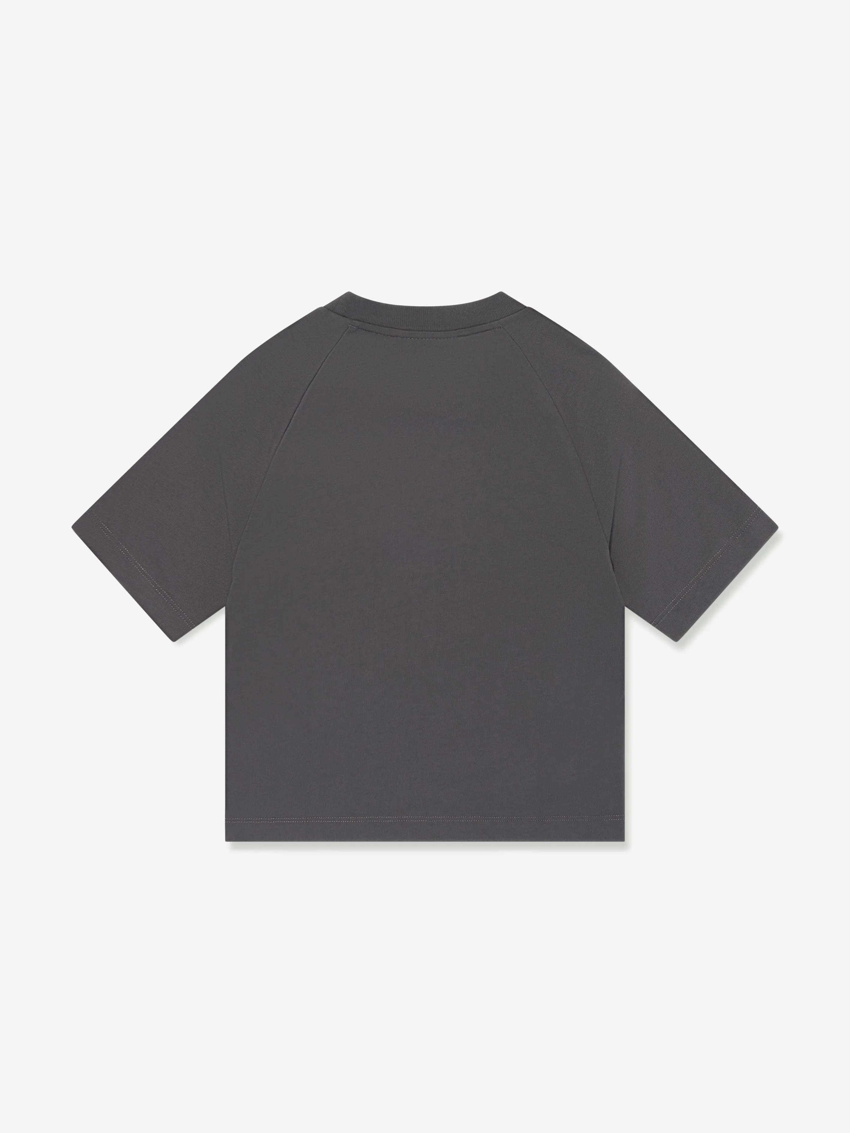 Boys Logo T-Shirt in Grey