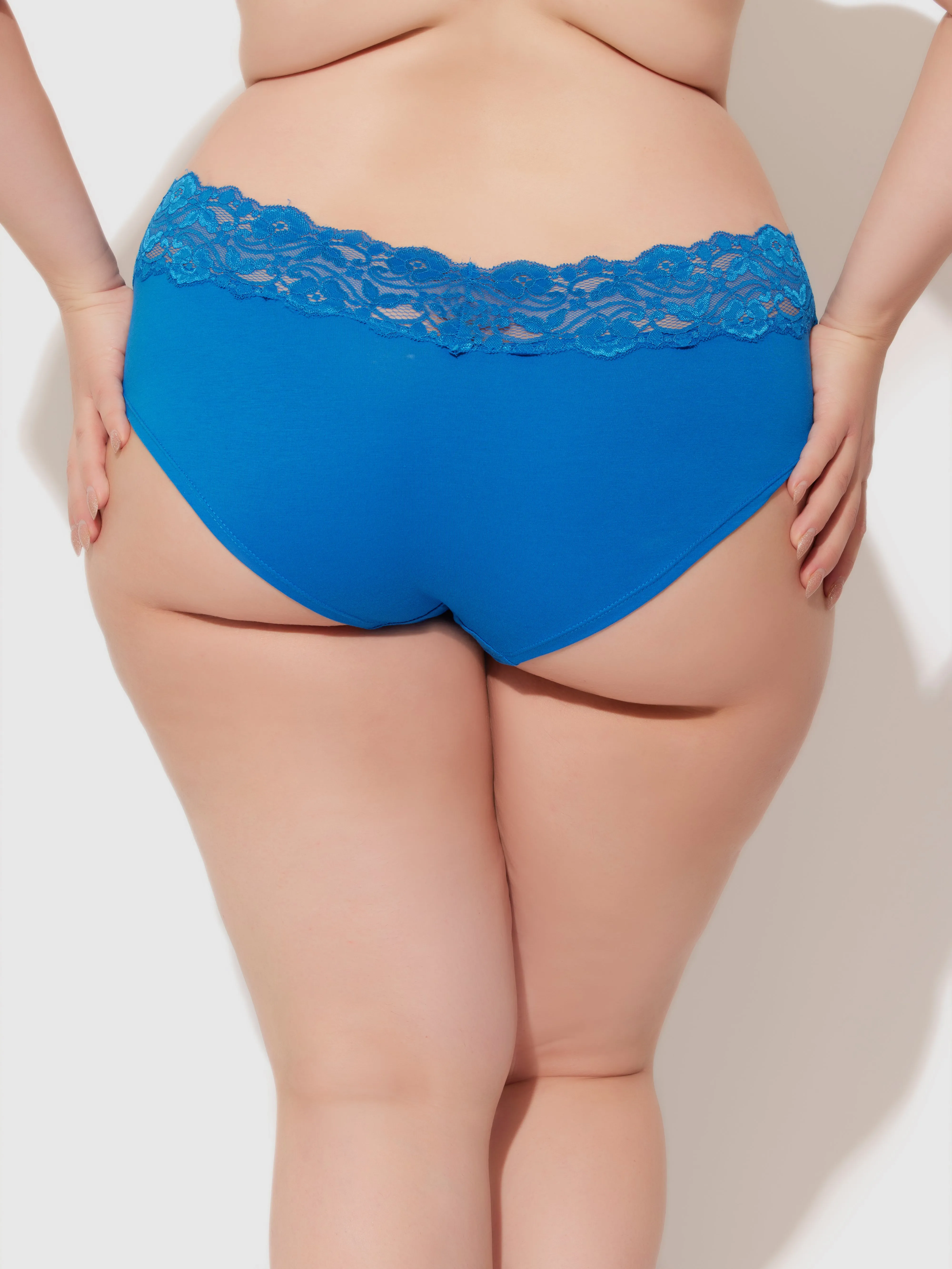 Bridget Cotton & Lace Hipster