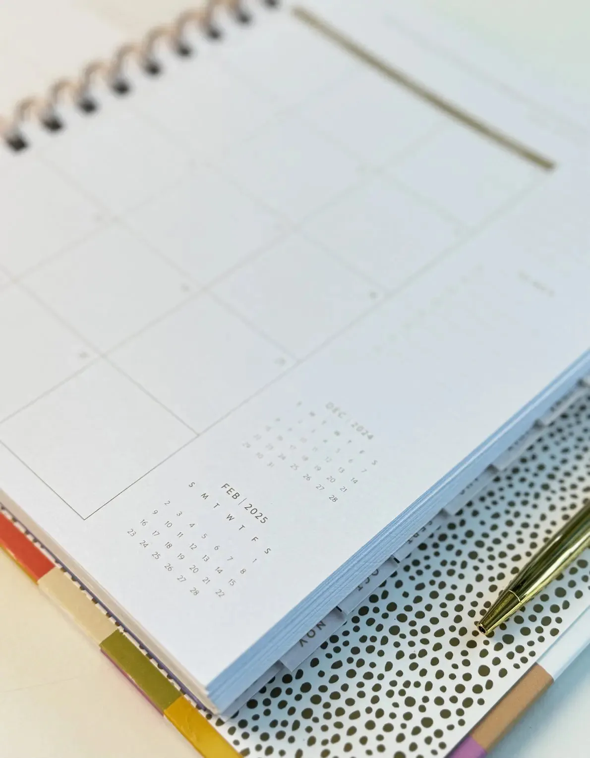 Fleur   Mushroom 2025 Spiral-Bound Planner