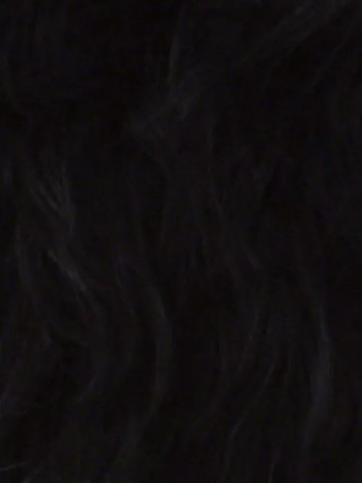 H-280 | Human Hair Wig (Skin Part)