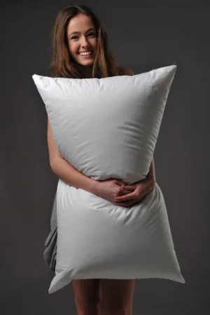 King Size Soft-Medium Density Pillow 95% Snow Goose Down 900 Fill Power German Batiste TE100