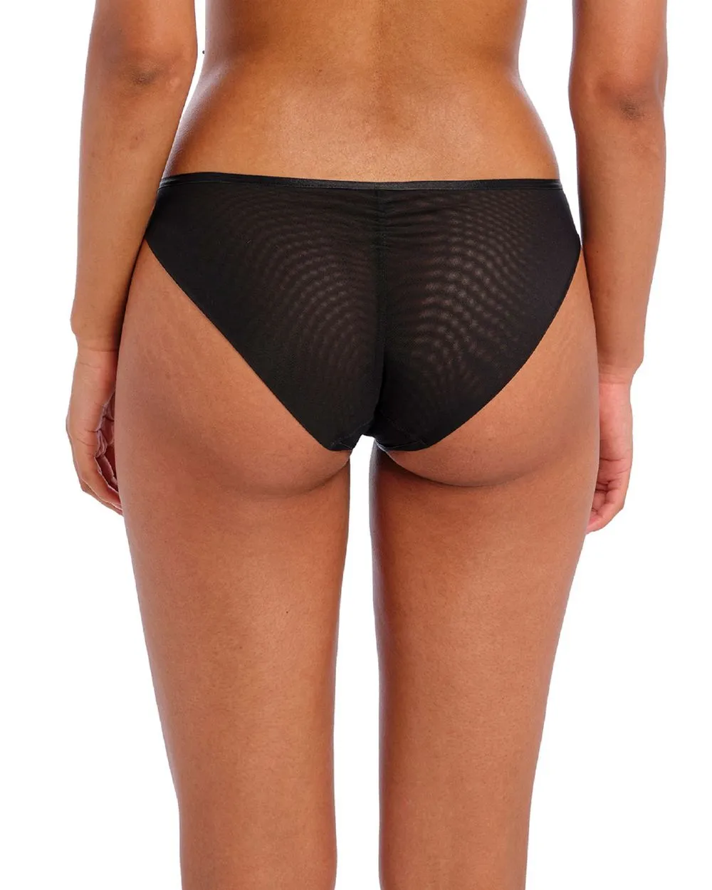 Show Off Brief